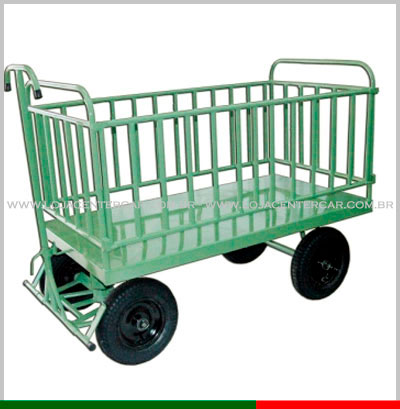 Carro Plataforma com Container